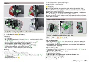 Skoda-Rapid-Bilens-instruktionsbog page 179 min