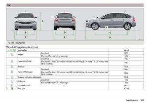 Skoda-Rapid-Bilens-instruktionsbog page 183 min