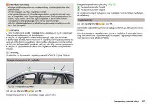 Skoda-Rapid-Bilens-instruktionsbog page 89 min