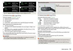 Skoda-Rapid-owners-manual page 117 min