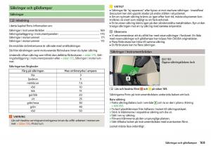 Skoda-Rapid-instruktionsbok page 171 min