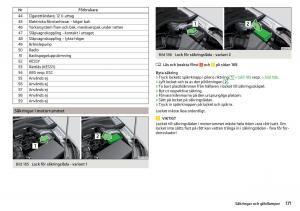 Skoda-Rapid-instruktionsbok page 173 min