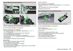 Skoda-Rapid-instruktionsbok page 177 min