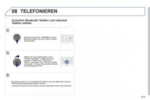 Peugeot-3008-Hybrid-Handbuch page 275 min