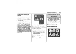 Opel-Astra-K-V-5-manual-del-propietario page 239 min