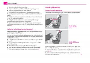 Skoda-Superb-I-1-Bilens-instruktionsbog page 121 min