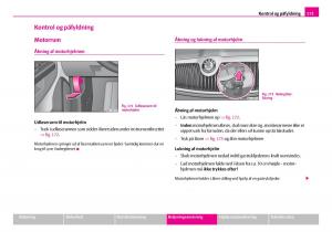 Skoda-Superb-I-1-Bilens-instruktionsbog page 174 min