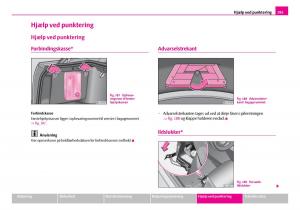 Skoda-Superb-I-1-Bilens-instruktionsbog page 196 min