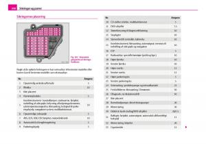 Skoda-Superb-I-1-Bilens-instruktionsbog page 209 min