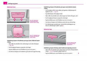 Skoda-Superb-I-1-Bilens-instruktionsbog page 213 min