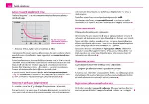 Skoda-Superb-I-1-manuale-del-proprietario page 169 min