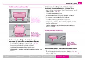 Skoda-Superb-I-1-instrukcja-obslugi page 228 min