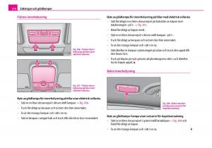 Skoda-Superb-I-1-instruktionsbok page 211 min