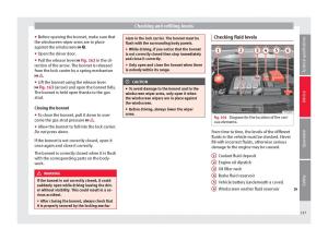 Seat-Alhambra-II-2-owners-manual page 219 min