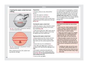 Seat-Alhambra-II-2-owners-manual page 226 min