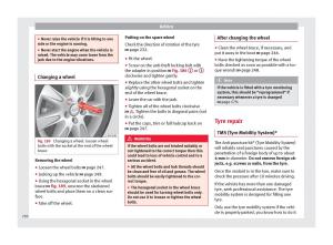 Seat-Alhambra-II-2-owners-manual page 252 min