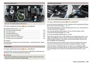 Skoda-Superb-III-3-Handbuch page 221 min