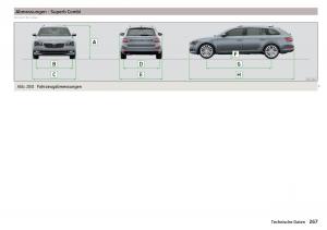 Skoda-Superb-III-3-Handbuch page 269 min