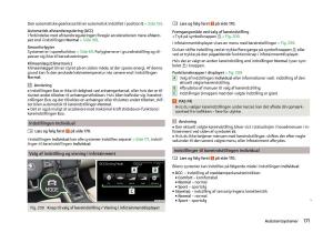 Skoda-Superb-III-3-Bilens-instruktionsbog page 174 min