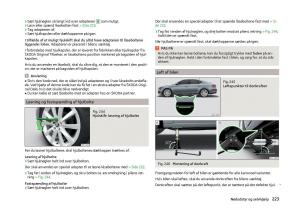 Skoda-Superb-III-3-Bilens-instruktionsbog page 226 min