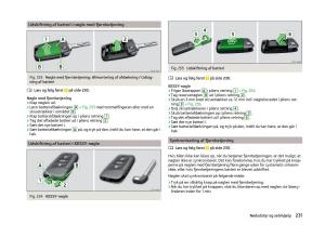 Skoda-Superb-III-3-Bilens-instruktionsbog page 234 min