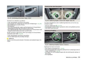 Skoda-Superb-III-3-Bilens-instruktionsbog page 236 min