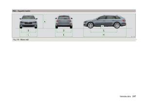 Skoda-Superb-III-3-Bilens-instruktionsbog page 250 min