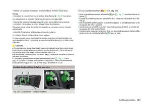 Skoda-Superb-III-3-manual-del-propietario page 264 min