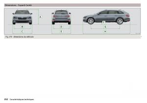 Skoda-Superb-III-3-manuel-du-proprietaire page 264 min