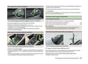 Skoda-Superb-III-3-manuale-del-proprietario page 250 min