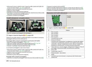 Skoda-Superb-III-3-manuale-del-proprietario page 253 min