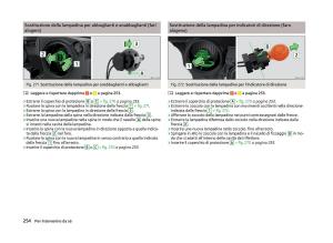 Skoda-Superb-III-3-manuale-del-proprietario page 257 min