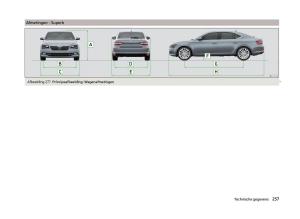 Skoda-Superb-III-3-handleiding page 260 min