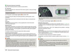 Skoda-Superb-III-3-instrukcja-obslugi page 227 min