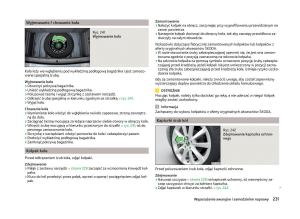 Skoda-Superb-III-3-instrukcja-obslugi page 234 min