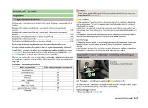 Skoda-Superb-III-3-instrukcja-obslugi page 248 min