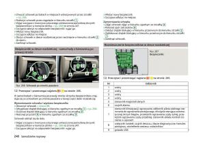 Skoda-Superb-III-3-instrukcja-obslugi page 249 min