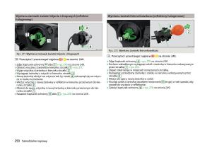 Skoda-Superb-III-3-instrukcja-obslugi page 253 min