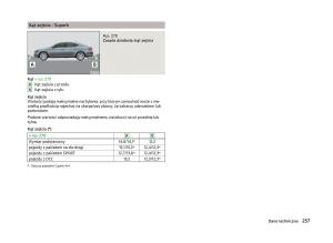 Skoda-Superb-III-3-instrukcja-obslugi page 260 min