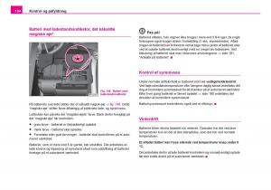 Skoda-Fabia-I-1-Bilens-instruktionsbog page 195 min