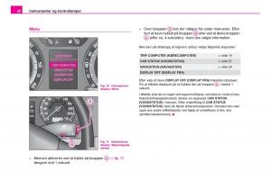 Skoda-Fabia-I-1-Bilens-instruktionsbog page 21 min