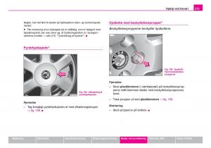 Skoda-Fabia-I-1-Bilens-instruktionsbog page 214 min