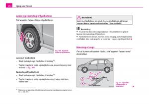 Skoda-Fabia-I-1-Bilens-instruktionsbog page 215 min