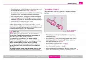 Skoda-Fabia-I-1-Bilens-instruktionsbog page 216 min