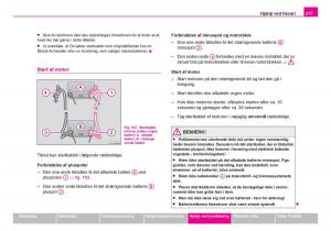 Skoda-Fabia-I-1-Bilens-instruktionsbog page 218 min