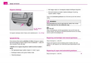 Skoda-Fabia-I-1-Bilens-instruktionsbog page 221 min