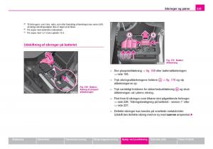 Skoda-Fabia-I-1-Bilens-instruktionsbog page 226 min