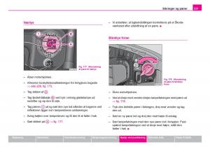 Skoda-Fabia-I-1-Bilens-instruktionsbog page 232 min