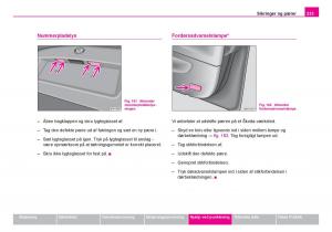 Skoda-Fabia-I-1-Bilens-instruktionsbog page 234 min