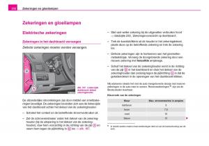 Skoda-Fabia-I-1-handleiding page 233 min